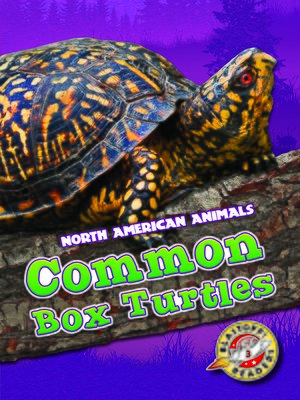 cover image of Common Box Turtles